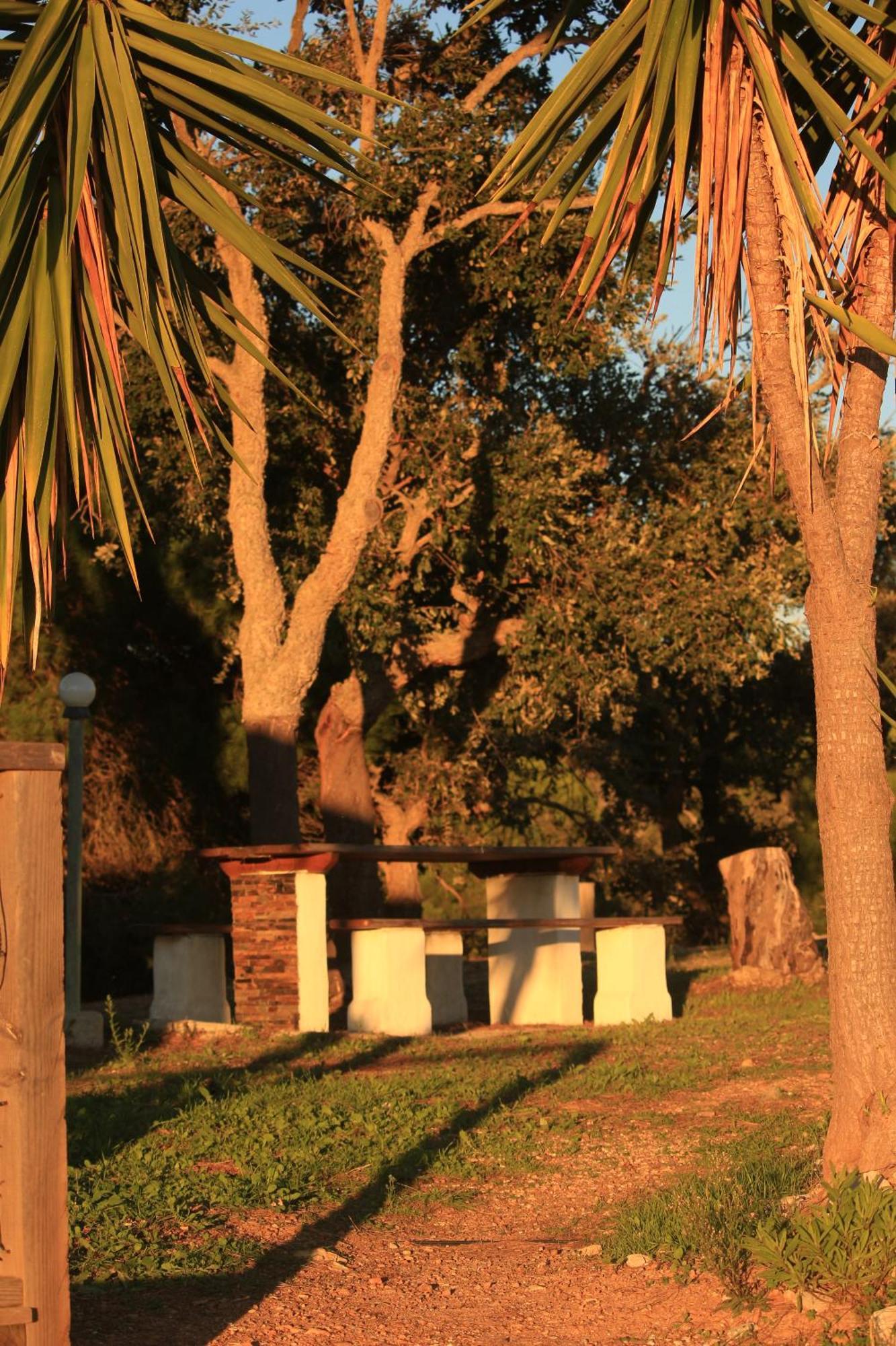 Monte Sardinha Guest House Santiago do Cacem Luaran gambar