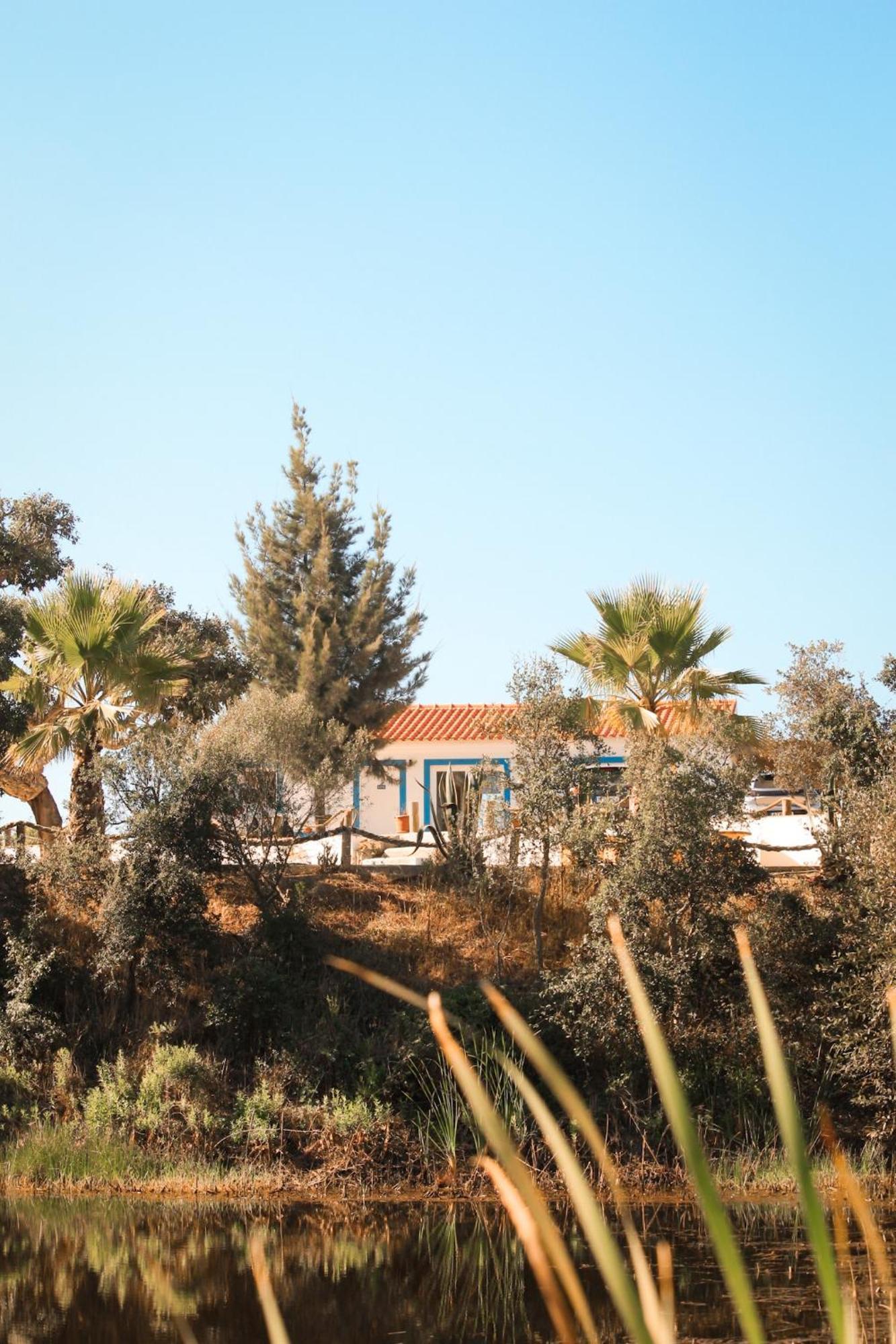 Monte Sardinha Guest House Santiago do Cacem Luaran gambar